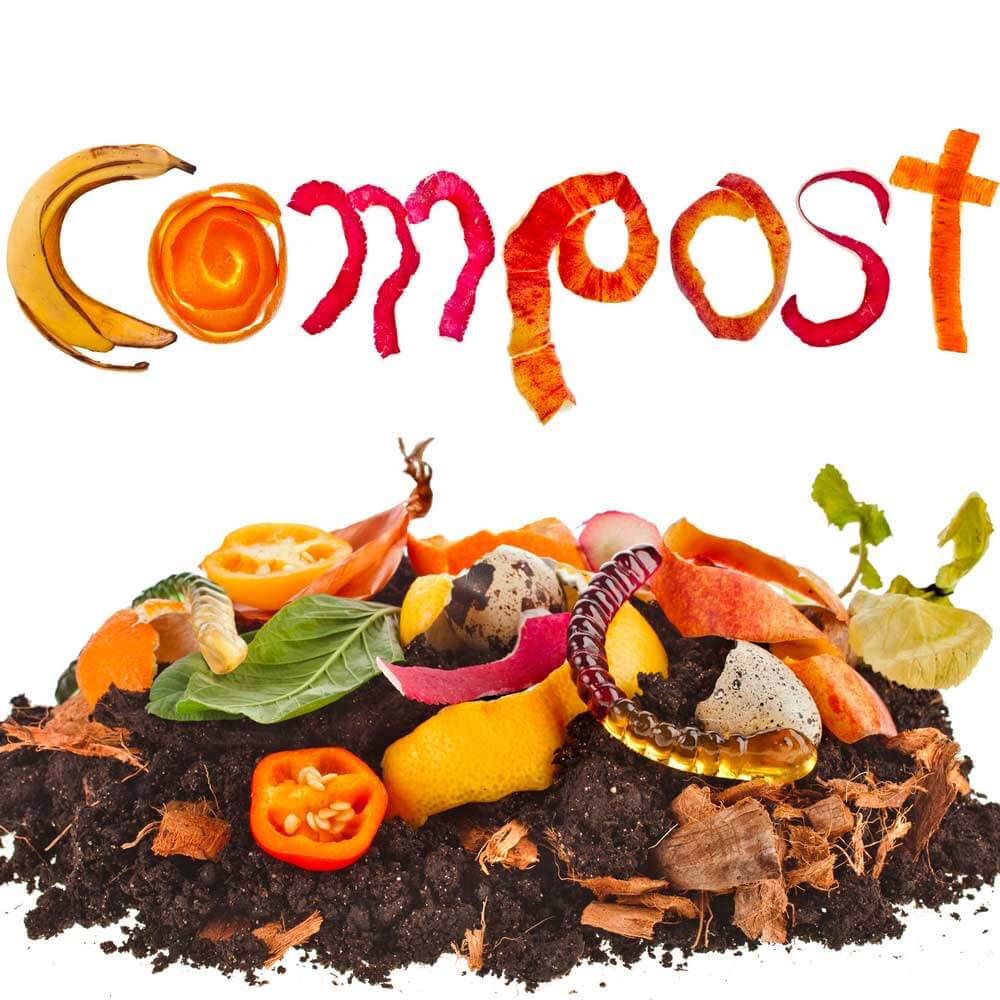 Compost